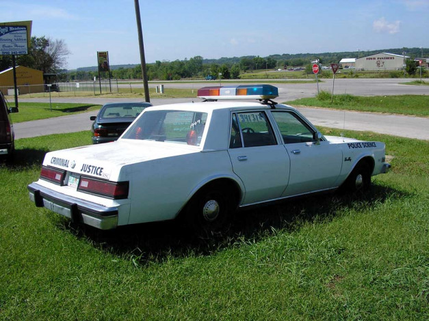 Обои картинки фото автомобили, полиция