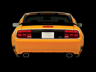Картинка 2007 saleen 302 parnelli jones limited edition mustang автомобили ford