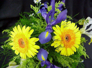 Картинка цветы букеты композиции