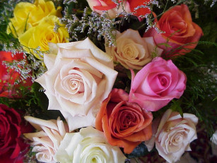 Картинка цветы розы