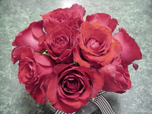 Картинка цветы розы