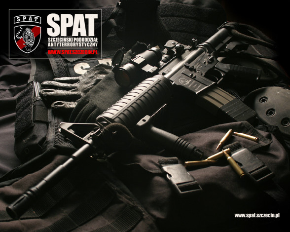 Обои картинки фото оружие