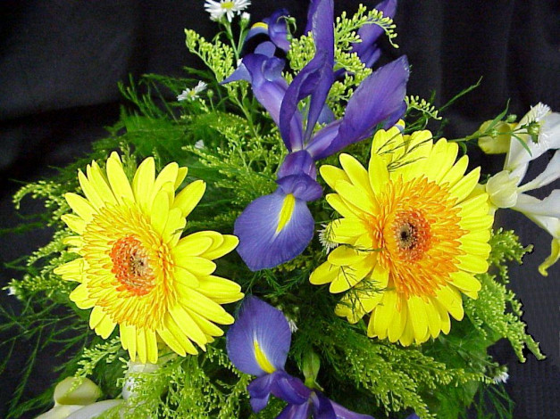 Обои картинки фото цветы, букеты, композиции