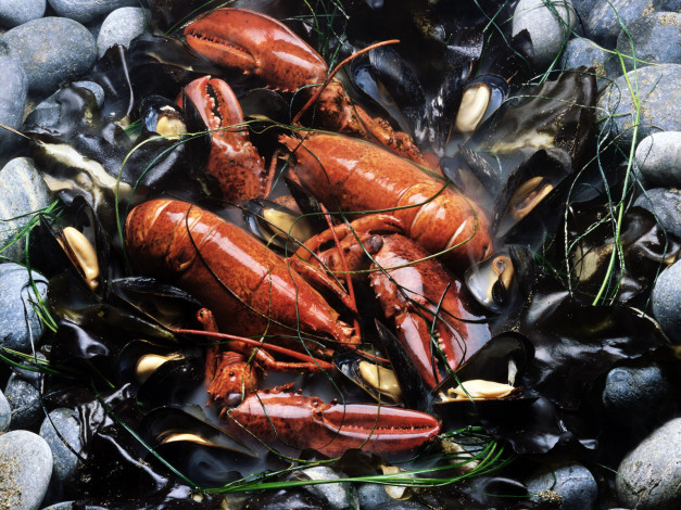 Обои картинки фото еда, рыба, морепродукты, суши, роллы