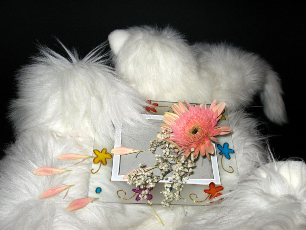 Обои картинки фото разное