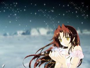 Картинка аниме kiddy grade