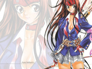 Картинка аниме tenjou tenge