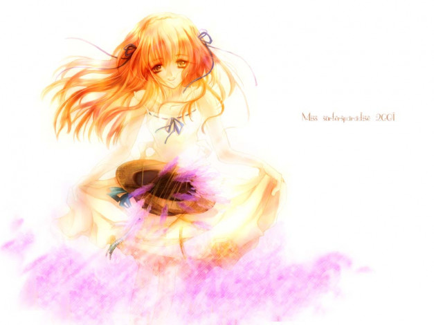 Обои картинки фото аниме, miss, surfersparadise