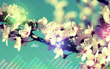 Картинка цветы цветущие деревья кустарники