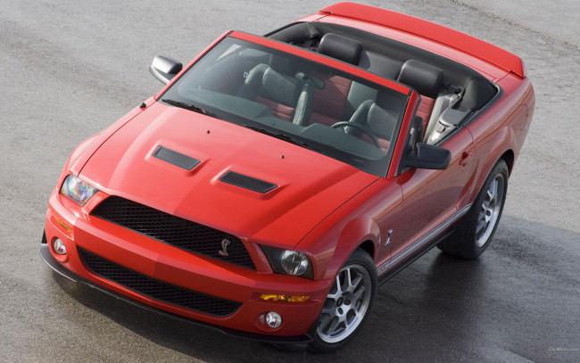 Обои картинки фото автомобили, mustang