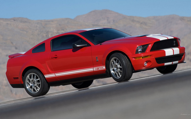 Обои картинки фото автомобили, mustang