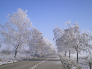 Картинка природа дороги иней дорога деревья