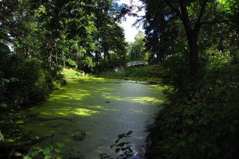 Картинка выборг парк монрепо природа река деревья