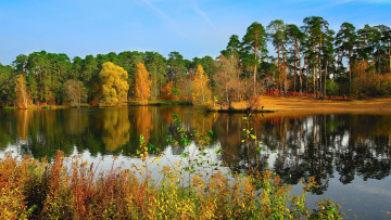 Картинка природа реки озера осень