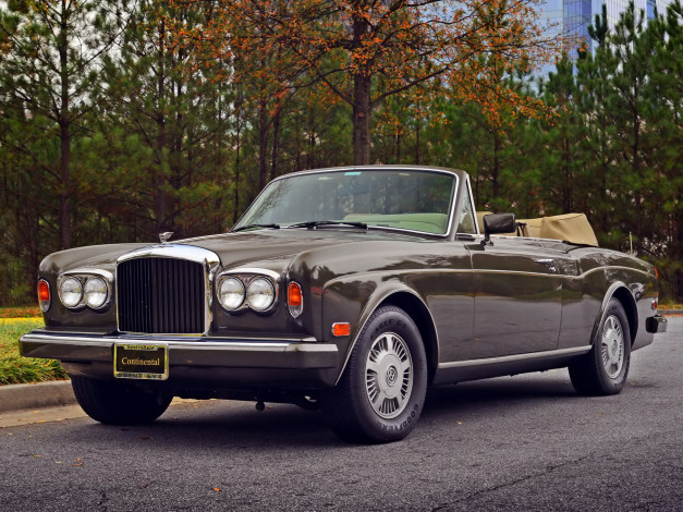 Обои картинки фото автомобили, bentley, auto