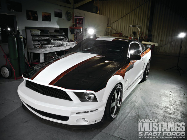 Обои картинки фото автомобили, mustang, ford