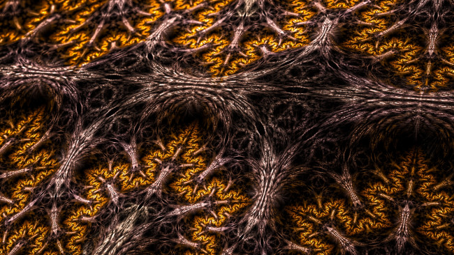Обои картинки фото 3д, графика, fractal, фракталы, фон, цвета, узор