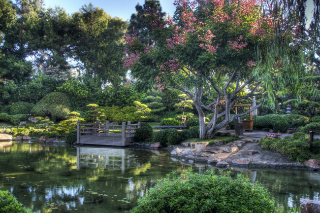 Обои картинки фото earl, burns, miller, japanese, garden, california, usa, природа, парк, сад