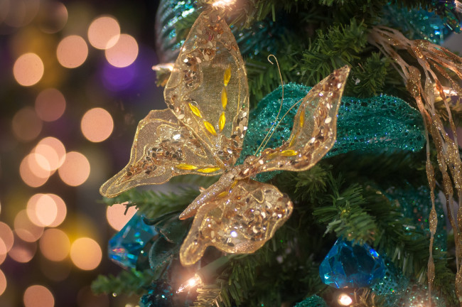 Обои картинки фото праздничные, украшения, бабочка