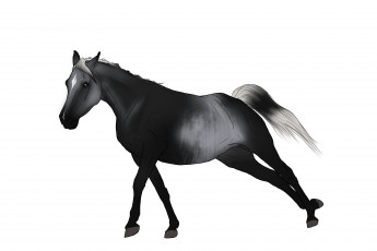 Картинка рисованные животные +лошади лошадь