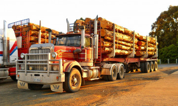 Картинка western+star автомобили грузовики тяжелые western star trucks сша запчасти колеса фура сила скорость трасса лето дерево