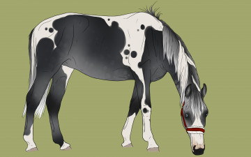 Картинка рисованные животные +лошади лошадь