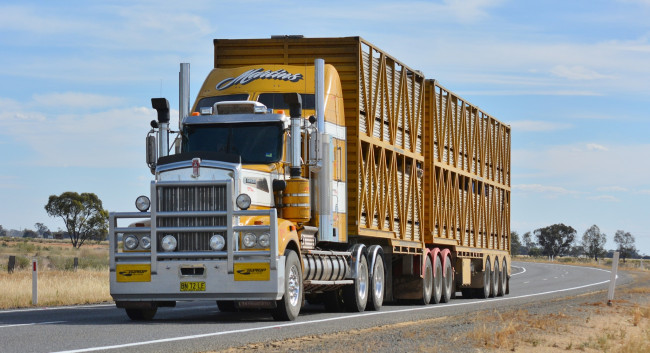 Обои картинки фото kenworth, автомобили, сша, автобусы, truck, company, грузовые