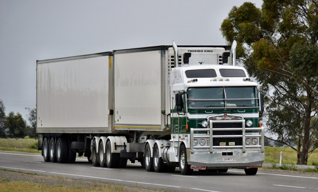 Обои картинки фото kenworth, автомобили, сша, автобусы, грузовые, truck, company