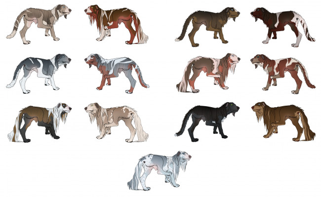 Обои картинки фото рисованные, животные,  собаки, собаки