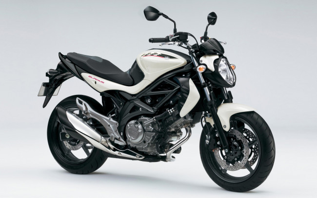 Обои картинки фото мотоциклы, suzuki, gladius, 650, 2012