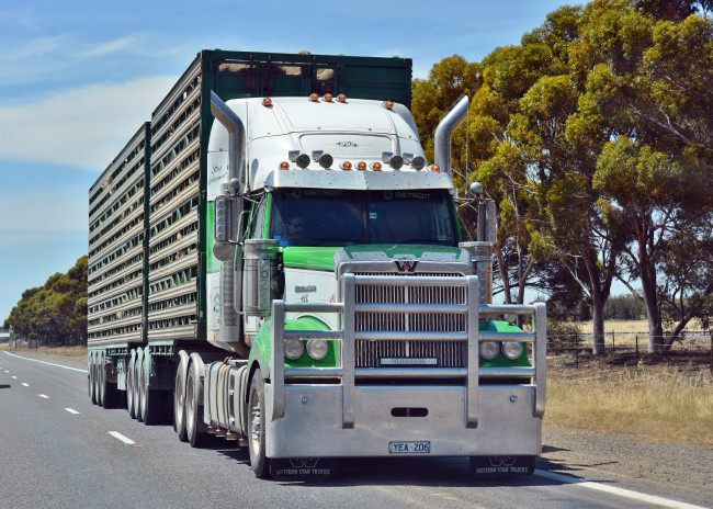 Обои картинки фото western star, автомобили, сша, запчасти, тяжелые, western, star, trucks, грузовики