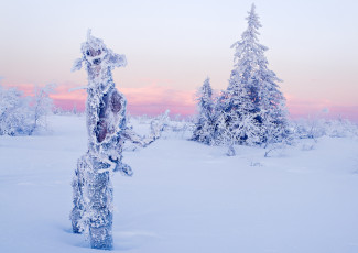 Картинка природа зима ель снег деревья облака небо