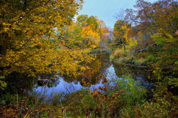 Картинка природа реки озера река лес