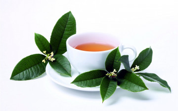 Картинка еда напитки +Чай жасминовый