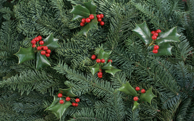 Обои картинки фото праздничные, Ёлки, ягоды, ёлка, украшения
