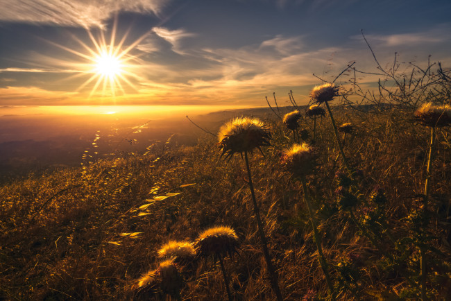 Обои картинки фото природа, восходы, закаты, рассвет