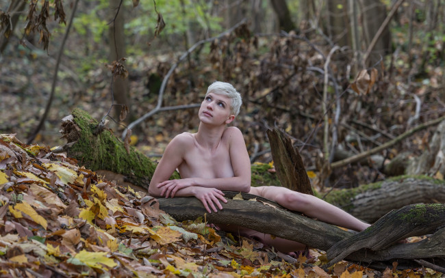 Обои картинки фото девушки, -unsort , блондинки, лежит, лес, блондинка, девушка