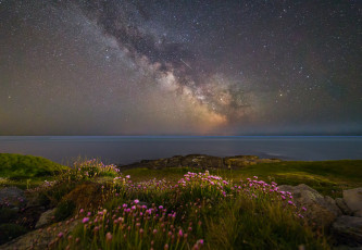 Картинка природа пейзажи простор