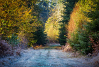 Картинка природа дороги простор