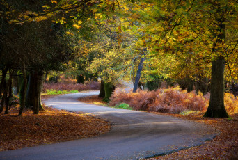 Картинка природа дороги простор