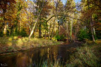 Картинка природа реки озера простор