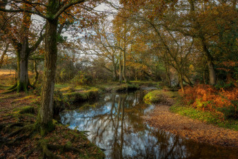 Картинка природа реки озера простор