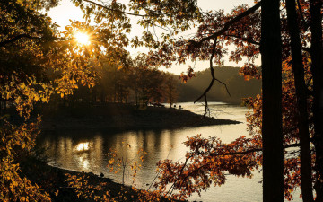 Картинка природа реки озера деревья берег река