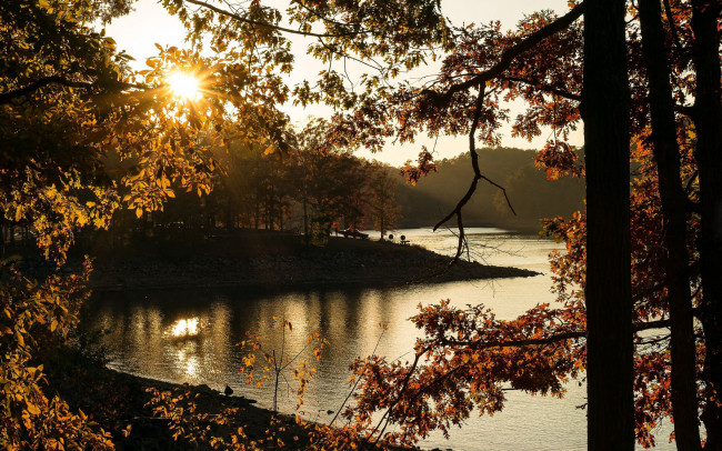 Обои картинки фото природа, реки, озера, деревья, берег, река