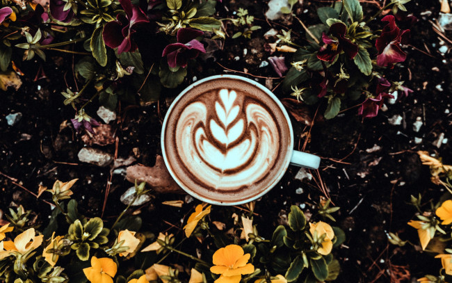 Обои картинки фото еда, кофе,  кофейные зёрна, капучино