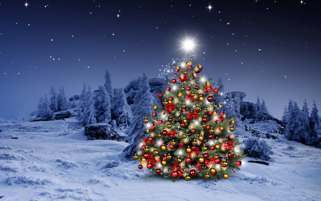 Обои картинки фото праздничные, Ёлки, фон, праздник, новый, год