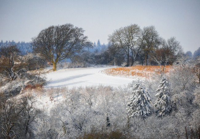 Обои картинки фото природа, зима, простор