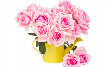 Картинка цветы розы розовые