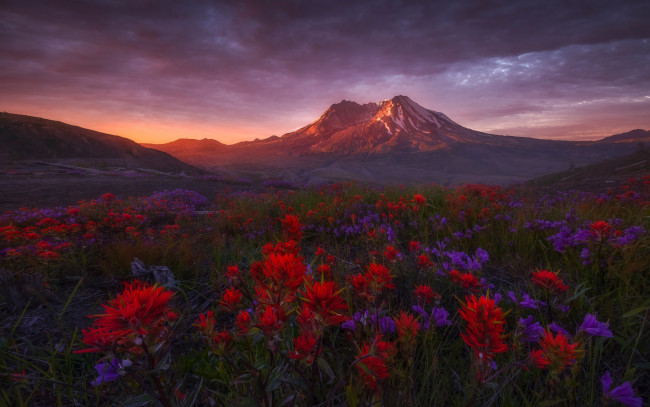 Обои картинки фото природа, пейзажи, пейзаж, гора, цветы, вечер, небо, облака, красота