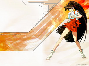 Картинка аниме variable geo